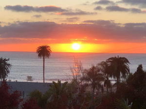 sunset and palm trees on Moonlight State Beach